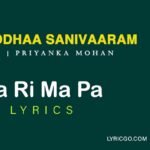 Sa Ri Ma Pa Song Saripodhaa Sanivaaram lyrics